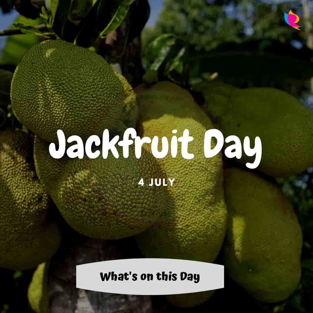 jackfruit-divas