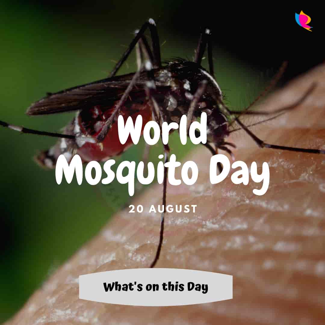world-mosquito-diwas