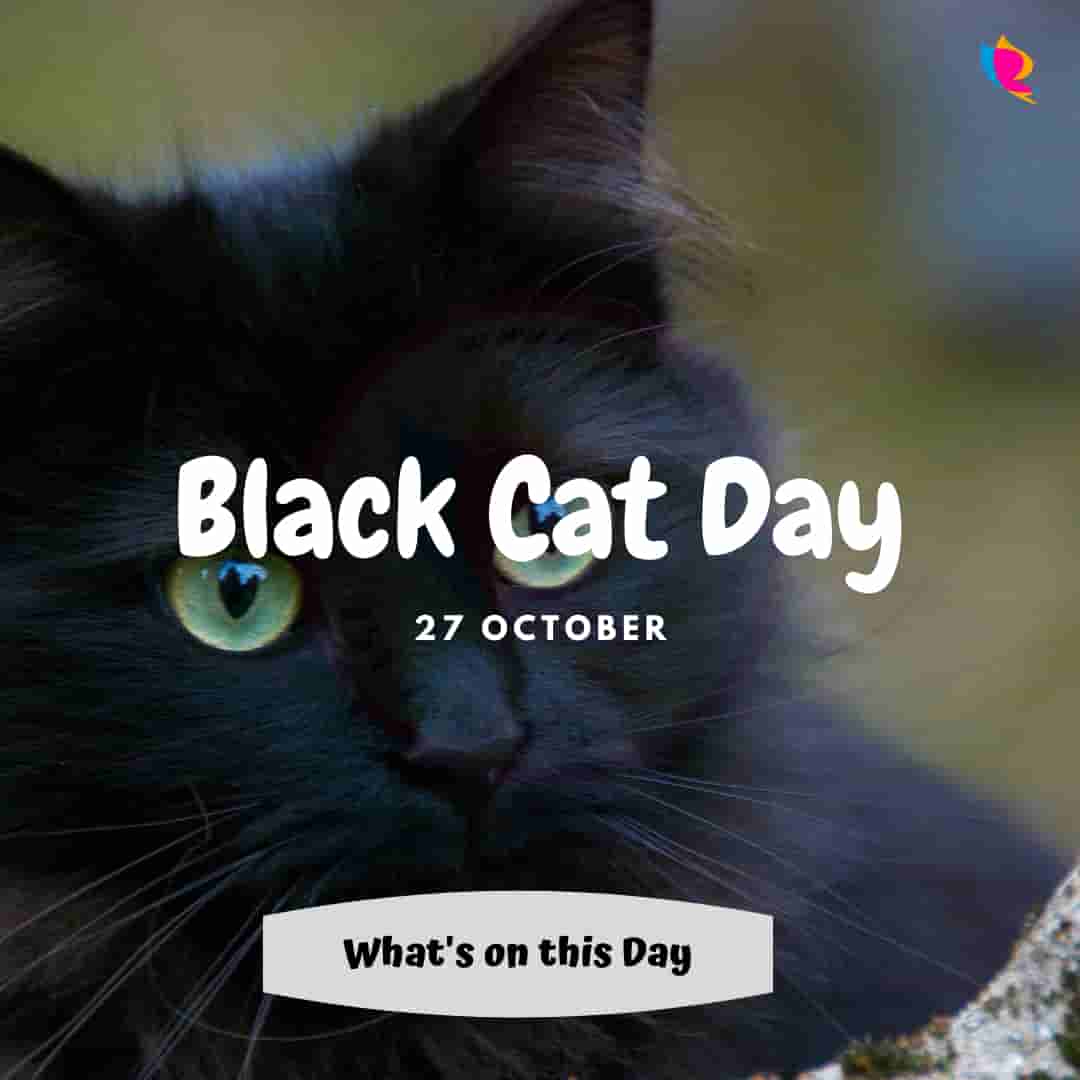 27th Oct: black cat day | काली बिल्ली दिवस
