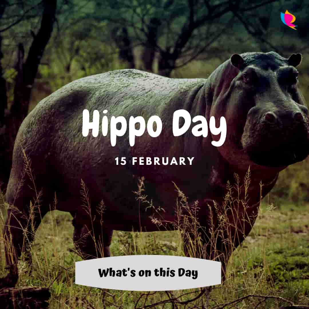 hippo day