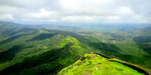 Way to Rajgad From Torna Fort
